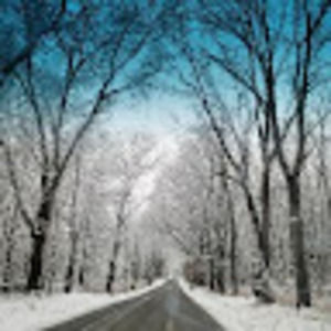 Meet your Posher, Sherrie